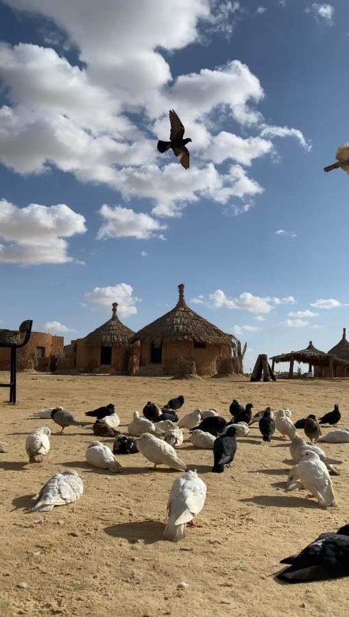 Taghaghien Island Resort Siwa Oasis Exterior foto